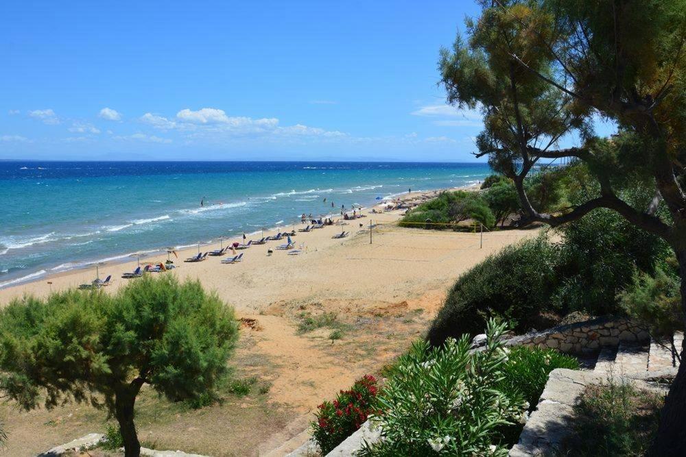 Stamiris Beach Hotel Vasilikos  Exterior photo